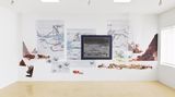 Contemporary art exhibition, Petra Cortright, Predator Swamping at 1301PE, Los Angeles, United States
