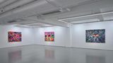 Contemporary art exhibition, Wang Jiajia, A/S/L at de Sarthe, de Sarthe, Hong Kong