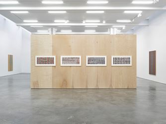 Exhibition view: Roy Colmer, Lisson Gallery, New York (13 January–18 February 2017). Courtesy Lisson Gallery, New York.