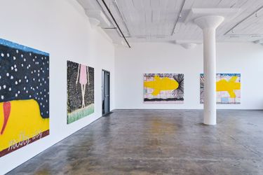 Exhibition view: Gabrielle Graessle, On The Milky Way, Simchowitz, Los Angeles (13 January–17 February 2024). Courtesy Simchowitz.