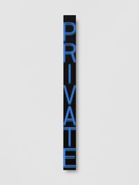 Vertical by Jenny Holzer contemporary artwork sculpture, mixed media