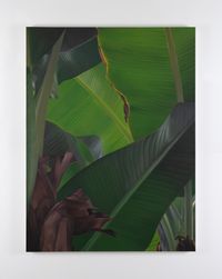 Banana IX by Marcel Vidal contemporary artwork painting