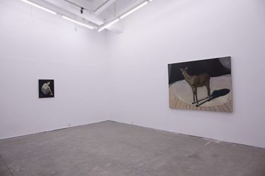 Exhibition view: Zhai Liang, The Garden of Forking Paths - Author, A Thousand Plateaus Art Space, Chengdu (18 April–10 June 2015). Courtesy A Thousand Plateaus Art Space.