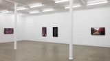 Contemporary art exhibition, Daniel Crooks, Vanishing Point at Starkwhite, Auckland, New Zealand