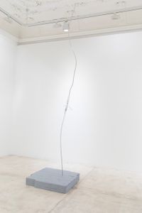 Pole by Martin Walde contemporary artwork sculpture