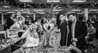 The Wolves of Wall Street II by David Yarrow contemporary artwork photography, print