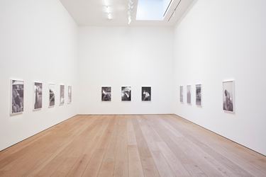 Exhibition view: Catherine Opie, The Modernist, Lehmann Maupin, New York (1 November–12 January 2019). Courtesy Lehmann Maupin. Photo: Matthew Herrmann.