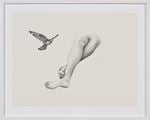Inseparable (Nankeen Kestrel) by Patricia Piccinini contemporary artwork 1