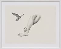 Inseparable (Nankeen Kestrel) by Patricia Piccinini contemporary artwork works on paper, drawing