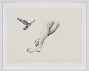 Patricia Piccinini Artist Profile Exhibitions Artworks Ocula