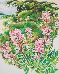 Wild Flowers - Flowering Dittany on the Perchtoldsdorf Heath by Anita Fricek contemporary artwork painting, works on paper