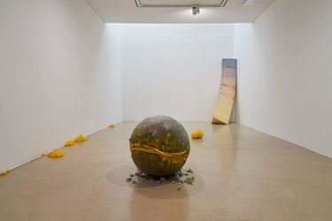 Exhibition view: Jiyoung Yoon, Yellow Blues_, ONE AND J. Gallery, Seoul (17 December 2021–30 January 2022). Courtesy ONE AND J. Gallery.