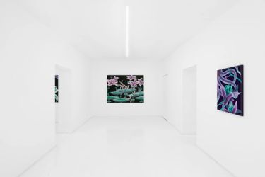 Exhibition view: Mevlana Lipp, Haptic Memory, Capsule Shanghai, Shanghai (8 November–24 December 2022). Courtesy Capsule Shanghai.