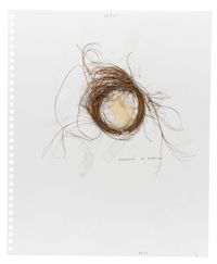 Nest by Not Vital contemporary artwork painting, works on paper, drawing