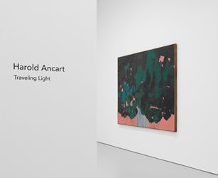 Exhibition view: Harold Ancart, Traveling Light, David Zwirner, 525 & 533 West 19th Street, New York (10 September–17 October 2020). Courtesy David Zwirner.