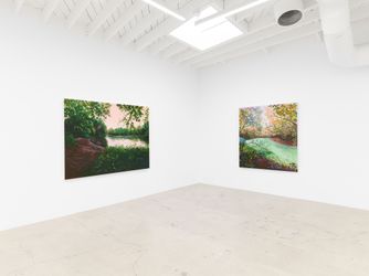 Exhibition view: Hannah Brown, Hollow Pond, Anat Ebgi, Los Angeles (8 March–20 April 2024). Courtesy Anat Ebgi, Los Angeles/New York.