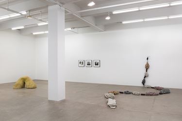 Exhibition view: Ivens Machado, Andrew Kreps Gallery, New York (3 November–15 December 2018). Courtesy the Artist and Andrew Kreps Gallery, New York. Photo: Dawn Blackman.