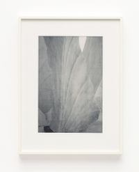 Parthenon. West pediment. Crowning akroterion (floral ornament) by James Welling contemporary artwork print