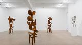 Contemporary art exhibition, Tony Cragg, Incidents at Marian Goodman Gallery, New York, United States