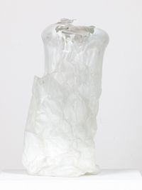 Untitled 1 (Single Breath Transfer) by Michael Joo contemporary artwork sculpture