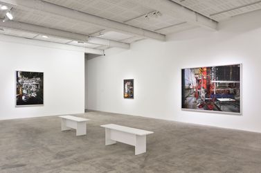 Exhibition view: Thomas Struth, Nature & Politics, Marian Goodman Gallery, Paris (25th May - 26th July 2024). Courtesy the artist & Marian Goodman Gallery. 