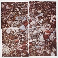 Torn Photograph from the Second Stop (Rubble): Second Mountain of Six Stops on a Section by Robert Smithson contemporary artwork print