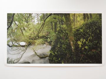 Ian Macdonald Biography, Artworks & Exhibitions Ocula Artist