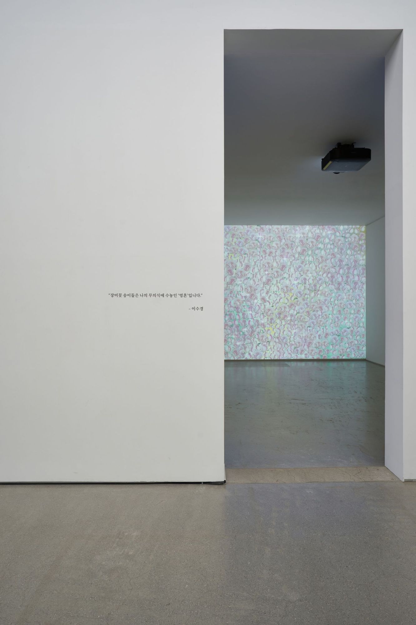 Yeesookyung, 'Nine Dragons in Wonderland: Yeesookyung' at