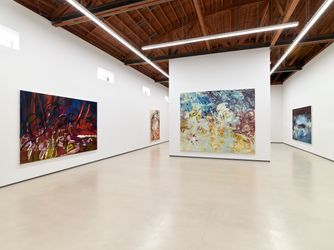 Exhibition view: Ranaina Tschäpe, Restless Moraine, Sean Kelly, Los Angeles (14 January–4 March 2023). Courtesy Sean Kelly. Photo: Brica Wilcox.