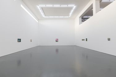 Exhibition view: Zhang Gong, Advent, White Space (12 March–4 May 2022). Courtesy White Space.