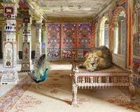 The Lovesick Prince, Aam Khas, Junha Mahal, Dungarpur Palace by Karen Knorr contemporary artwork painting