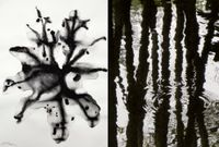 Nature Series #1 & #14 by Barbara Edelstein contemporary artwork painting, works on paper, drawing