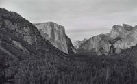 Yosemite IV (BGV) by Richard Learoyd contemporary artwork photography