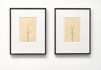 Pair of Winter Drawings 12vs10 and 10vs12 by Peter Liversidge contemporary artwork painting, works on paper