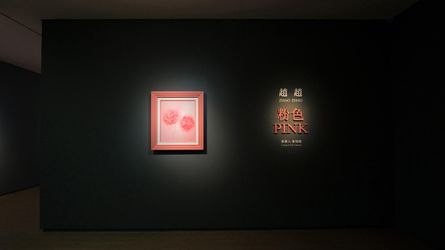 Exhibition view: Zhao Zhao, Pink 粉色, Lin & Lin Gallery, Taipei (8 May–19 June 2020). Courtesy Lin & Lin Gallery.