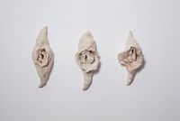 A concha vagina I, II, III by Brígida Baltar contemporary artwork ceramics