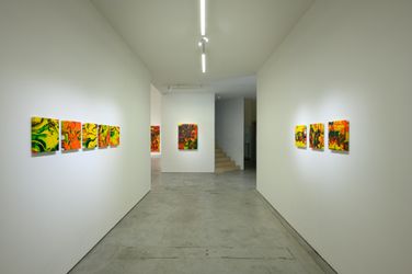 Exhibition view: Jenny Chen, Order in Chaos, Tina Keng Gallery, Taipei (6 August–22 October 2022). Courtesy Tina Keng Gallery.