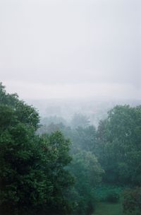 downpour by Wolfgang Tillmans contemporary artwork photography