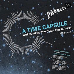 Exhibition view: Group Exhibition, A Time Capsule: Works made by women for Parkett 1984–2017, Parkett, Zurich (8 June–21 July 2018). Courtesy Parkett. 