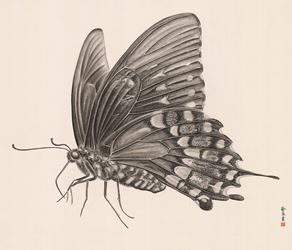 Zhang Yirong, Butterfly 2 (2018). Chinese ink on rice paper. 120 x 140 cm. Courtesy Alisan Fine Arts, Aberdeen.