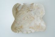 The White Plate by Ghada Amer contemporary artwork 2