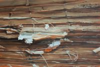 Chinese Library No.63 by Xie Xiaoze  contemporary artwork painting