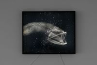 Dragonfish by Amos Gebhardt contemporary artwork photography, mixed media
