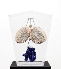 Moths by Clemen Parrocchetti contemporary artwork sculpture