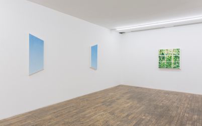 Exhibition view: Dong Dawei, Landscape Portrait, HdM GALLERY, Beijing (17 Octover–28 November 2020). Courtesy HdM GALLERY.