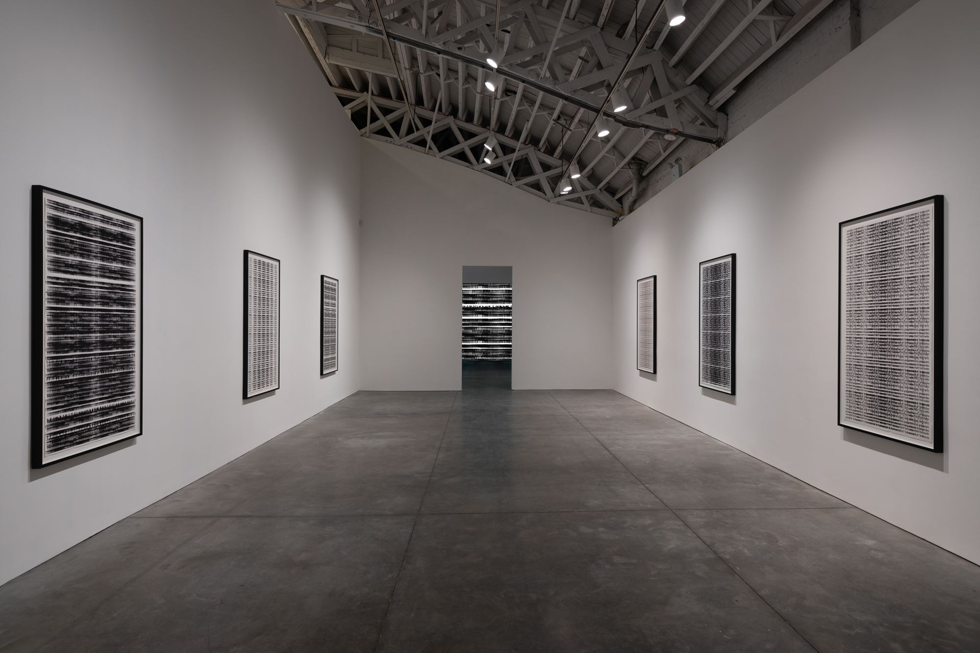 Michal Rovner, 'Evolution' at Pace Gallery, 537 West 24th Street, New ...