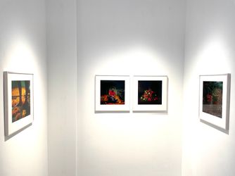 Exhibition view:  Denis Dailleux, Le pouvoir des fleurs, Galerie—Peter—Sillem. Frankfurt (5 March–9 April 2022). Courtesy Galerie—Peter—Sillem.