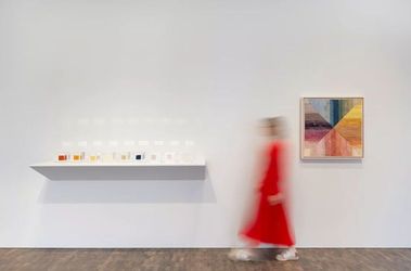 Contemporary art exhibition, Yto Barrada, Bite the Hand at Pace Gallery, London, United Kingdom