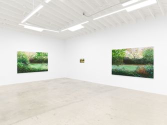 Exhibition view: Hannah Brown, Hollow Pond, Anat Ebgi, Los Angeles (8 March–20 April 2024). Courtesy Anat Ebgi, Los Angeles/New York.