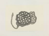 Revival Series II #2 The Everlasting Lotus Pod by Eddie Lui contemporary artwork works on paper, drawing